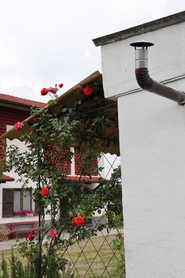 Gabry Guest House Bruno Bagian luar foto